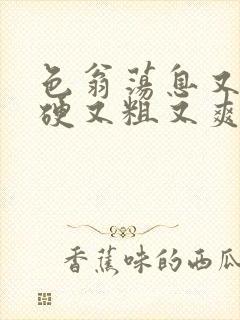 色翁荡息又大又硬又粗又爽