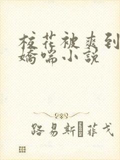 校花被爽到呻吟娇喘小说封面