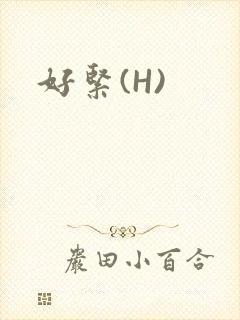 好紧(H)
