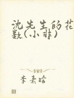 沈先生的花式调数(小非)