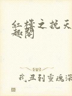 红楼之挽天倾笔趣阁