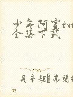 少年阿宾txt全集下载