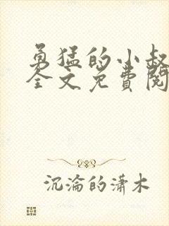 勇猛的小叔小说全文免费阅读封面