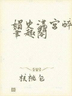 媚史满宫醉小说笔趣阁