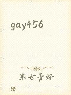 gay456封面