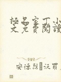 极品家丁小说全文免费阅读