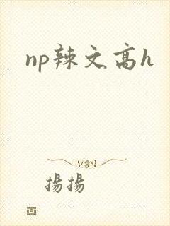 np辣文高h封面