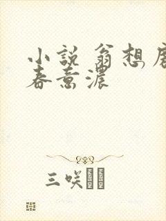 小说 翁想房中春意浓封面