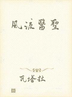 风流医圣
