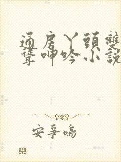 通房丫头双乳高耸呻吟小说封面