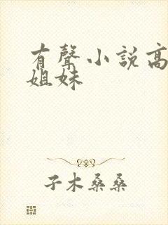 有声小说高树三姐妹封面