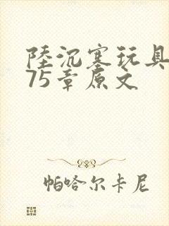 陆沉塞玩具高速75章原文封面