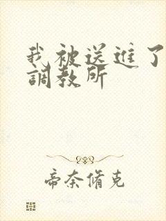 我被送进了私奴调教所