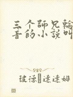 三个师兄轮流上音的小说叫什么