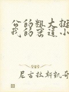 公的粗大挺进了我的密道小说