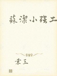 苏洁小强工地情