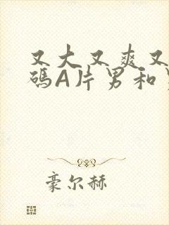 又大又爽又黄无码A片男和男