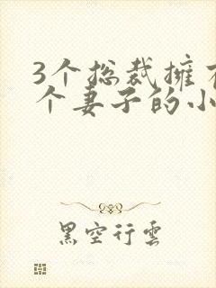 3个总裁拥有一个妻子的小说