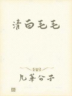 清白毛毛