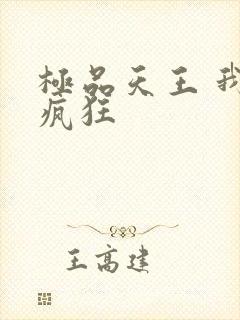 极品天王 我本疯狂
