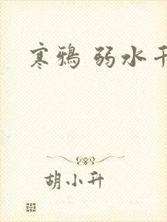 寒鸦 弱水千流