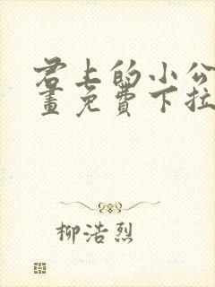 君上的小公主漫画免费下拉式漫画封面