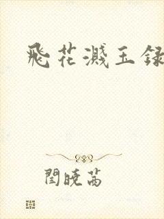 飞花溅玉录
