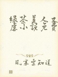 绿茶美人又在求虐小说免费阅读笔趣阁
