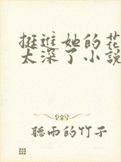 挺进她的花苞啊太深了小说