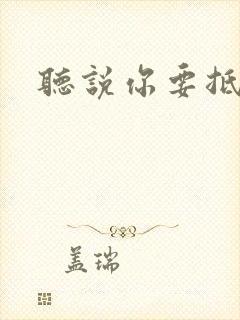 听说你要抵抗我封面