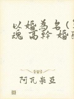 以婚为名 (军魂 高干 婚恋)
