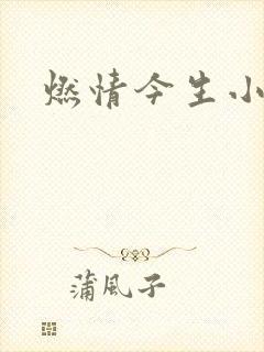 燃情今生小说