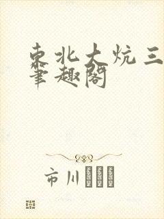 东北大炕三部曲笔趣阁