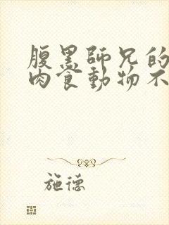 腹黑师兄的日常肉食动物不食草