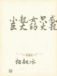 小龙女只感觉那巨大的火龙枪