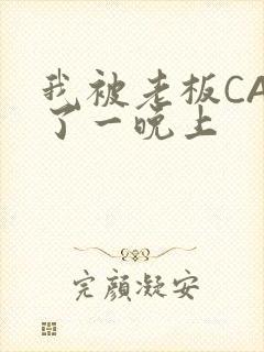 我被老板CAO了一晚上