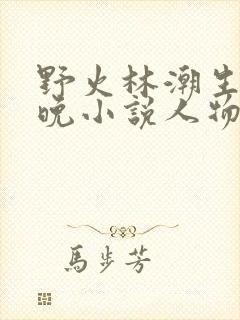 野火林潮生林晚晚小说人物野火