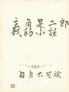 主角是二郎神杨戬的小说