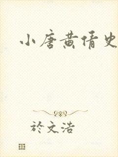 小唐黄倩史