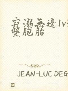 宠溺无边1v3双胞胎封面