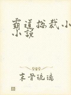 霸道总裁小娇妻小说