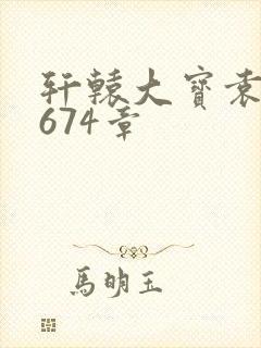 轩辕大宝袁雪妃674章