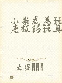 小米成为玩具店老板的玩具