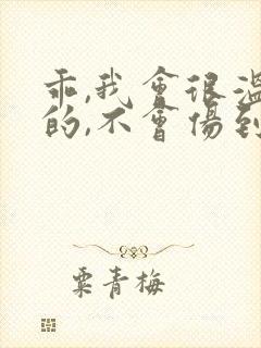 乖,我会很温柔的,不会伤到你小说