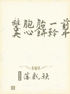 双胞胎一前一后夹心饼干年下