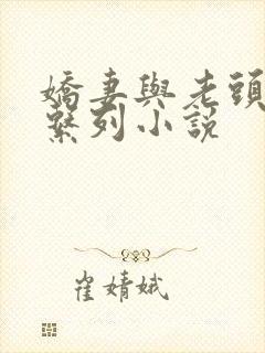 娇妻与老头的性系列小说