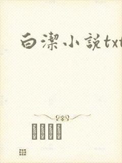 白洁小说txt封面