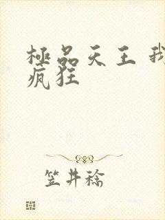 极品天王 我本疯狂