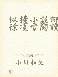 纵横小说柳无邪徐凌雪阅读封面