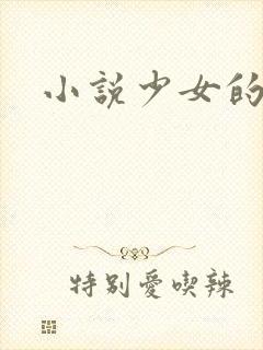 小说少女的心封面